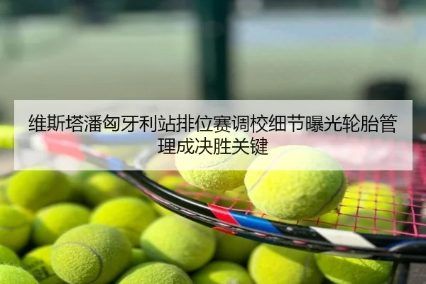 维斯塔潘匈牙利站排位赛调校细节曝光轮胎管理成决胜关键