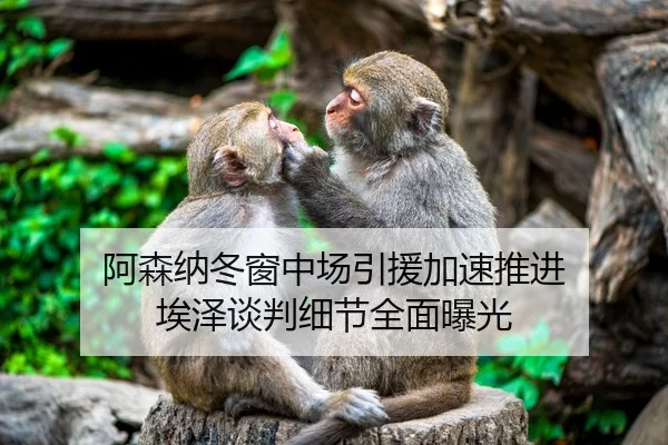 阿森纳冬窗中场引援加速推进 埃泽谈判细节全面曝光